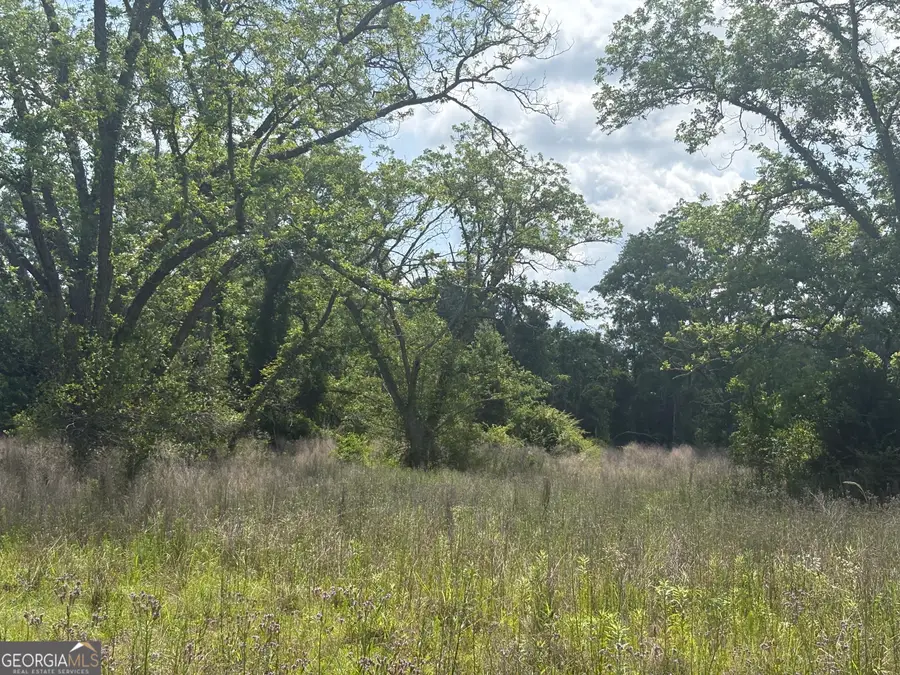 0 East Road, Fitzgerald, GA 31750 - #3