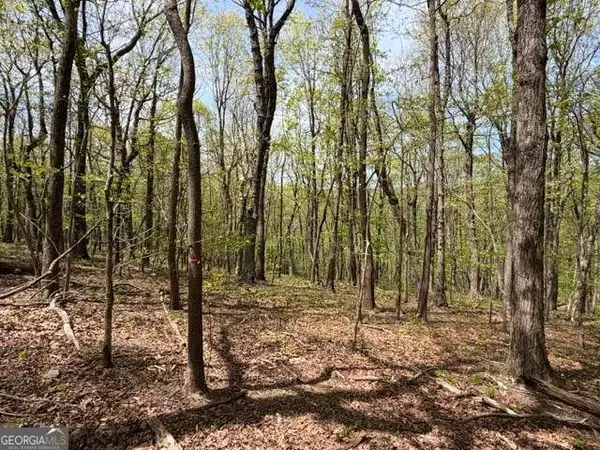 LOT 26 Falcons Nest #26, Jasper, GA 30143