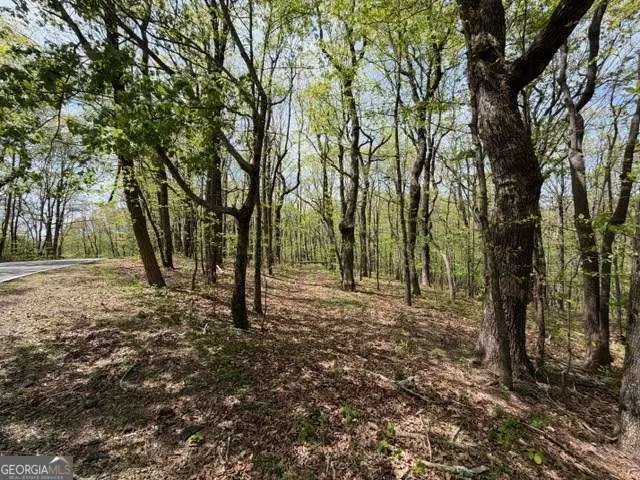 LOT 26 Falcons Nest #26, Jasper, GA 30143 - #2