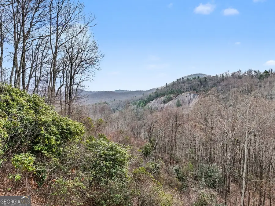 187 Evans Creek Road, Scaly Mountain, NC 28775 - #3