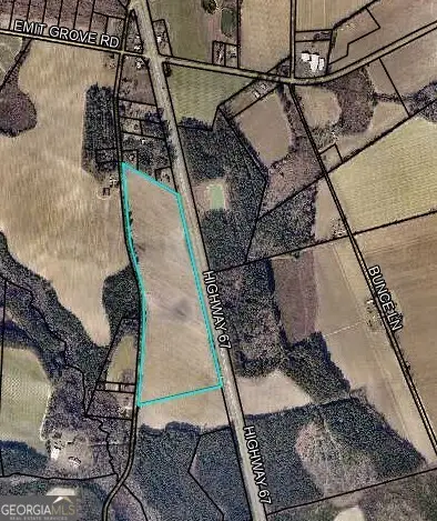41.43 ACRES Highway 67, Statesboro, GA 30461 - #1