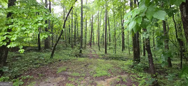0 Brewsterfield Road, Cedartown, GA 30125