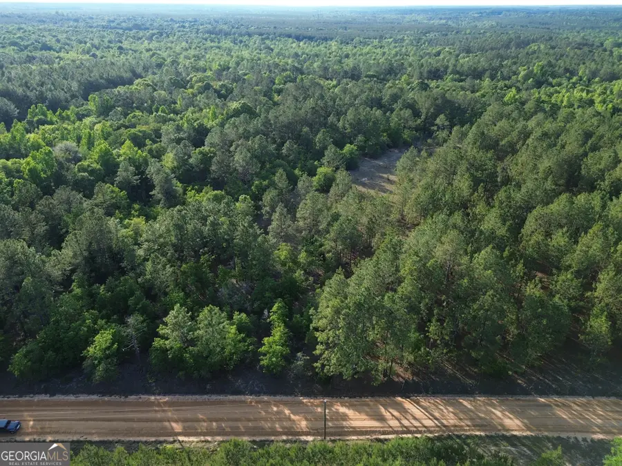 3570 William Dennis Road, Cadwell, GA 31009 - #2