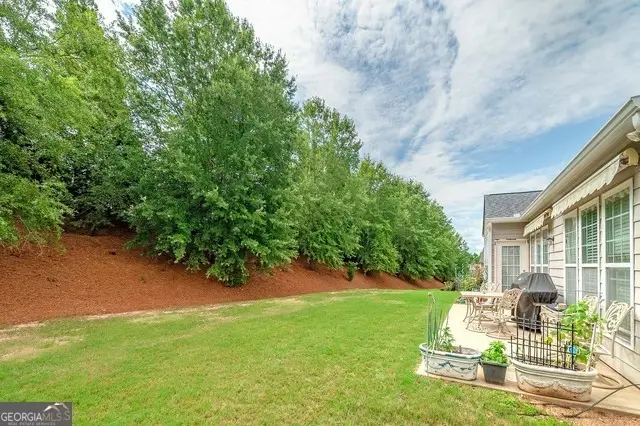 230 Begonia Court, Griffin, GA 30223 - #3
