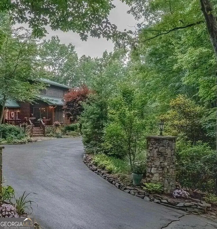 205 Minnehaha Trail, Blue Ridge, GA 30513 - #1