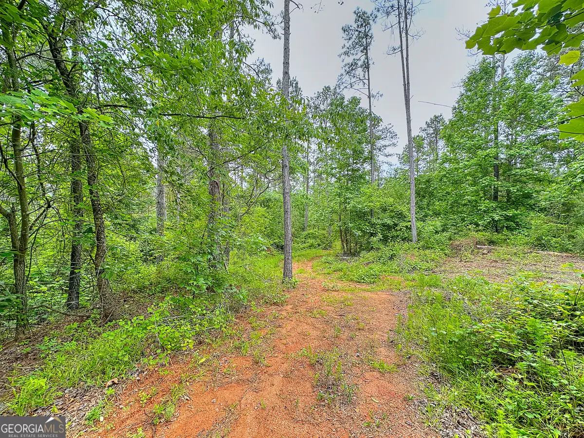0 Rollin Mill #TRACT 6, Franklin, GA 30217 - #1