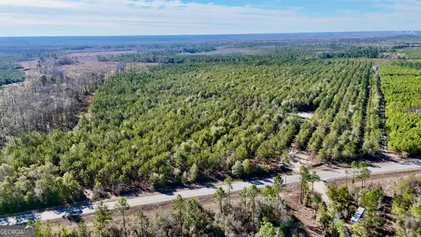 0 Bells Ferry Road, Lumber City, GA 31549