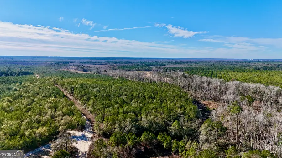 0 Tillman Cementery Road, Lumber City, GA 31549 - #2