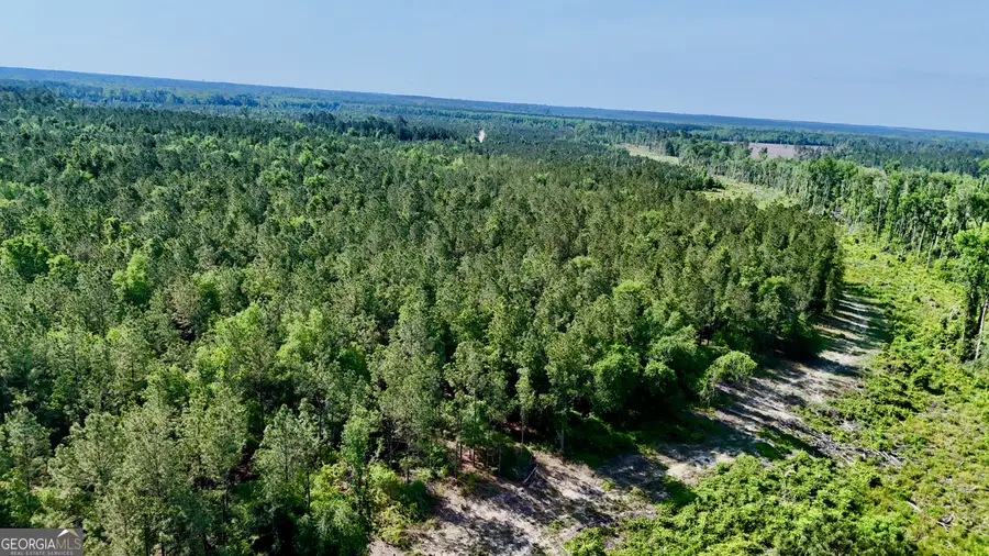 0 Tillman Cementery Road, Lumber City, GA 31549 - #3