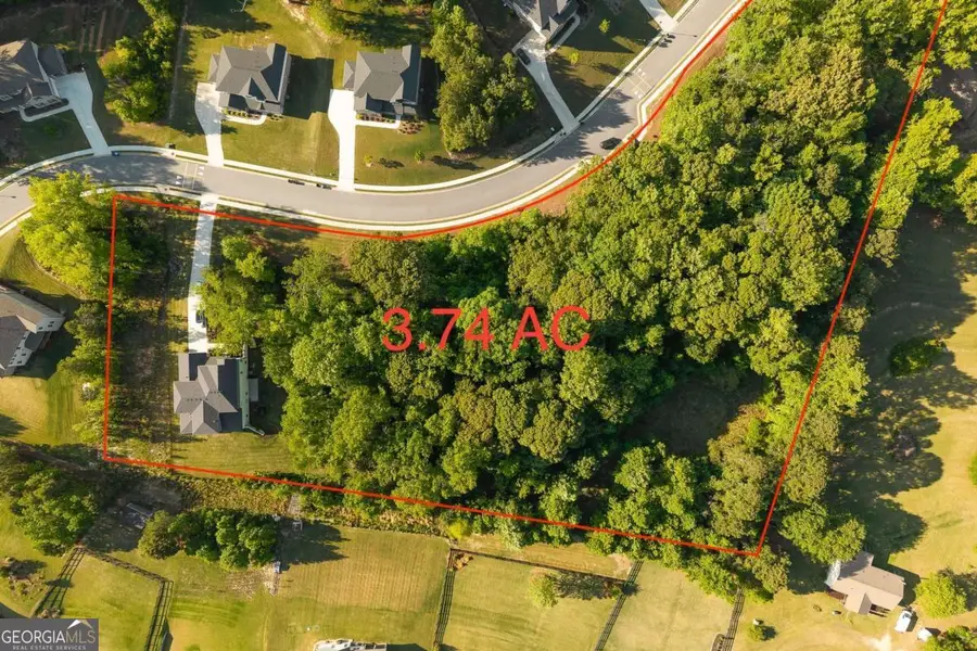 3849 Amicus Drive, Buford, GA 30519 - #2