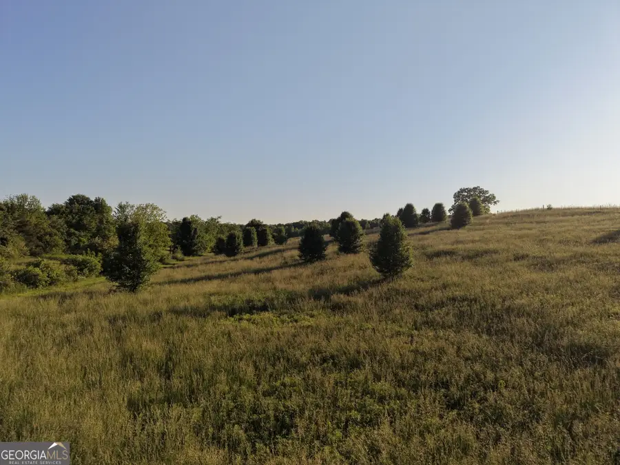 2101 Cody Road, Mount Airy, GA 30563 - #2
