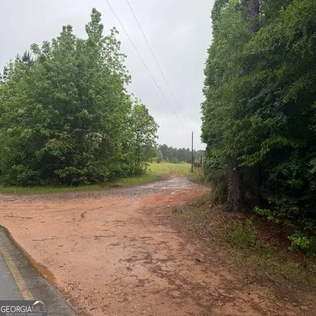145 +/- ACRES George Smith Road, Talbotton, GA 31827 - #3