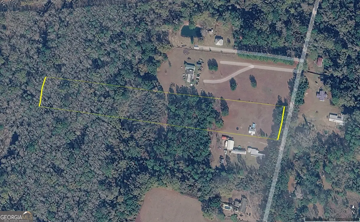 0 Park Street Extension, Ray City, GA 31645 - #1