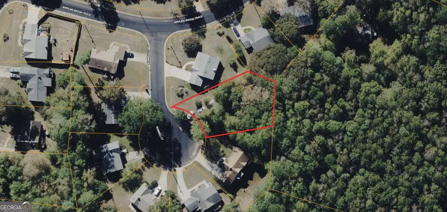 410 Runnell Court, Chattahoochee Hills, GA 30268 - #3
