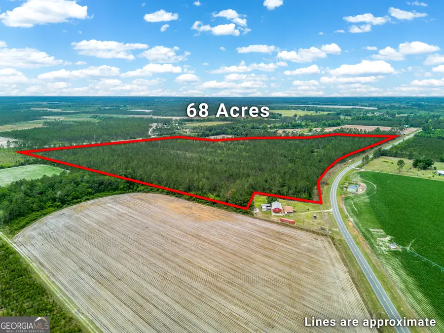110 Lees Chapel Road, Nicholls, GA 31554 - #2