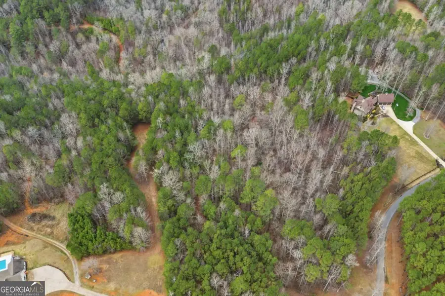 2025 Soap Creek Road, Ball Ground, GA 30107 - #3