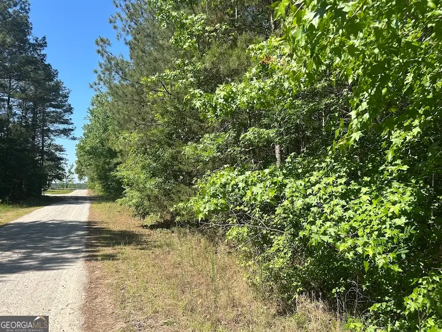 1A Clower Drive, Bowdon, GA 30108 - #2