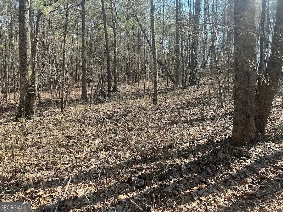 1A Clower Drive, Bowdon, GA 30108 - #3