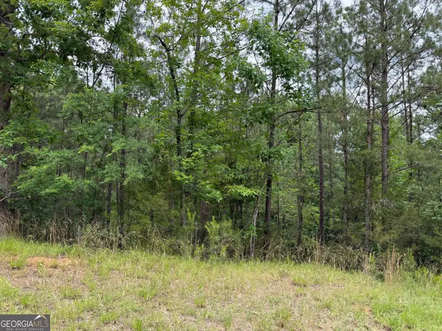 0 Bramlett Cir, Elberton, GA 30635 - #3