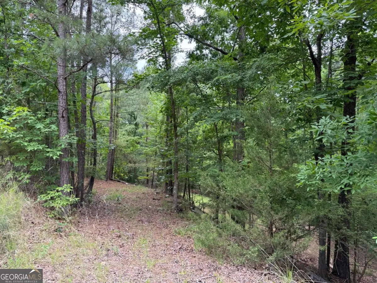LOT 52 Bramlett Cr, Elberton, GA 30635 - #1