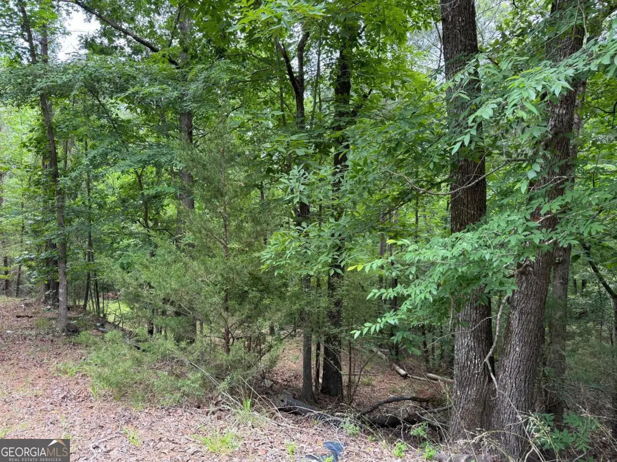LOT 51 Bramlett Cr, Elberton, GA 30635 - #1