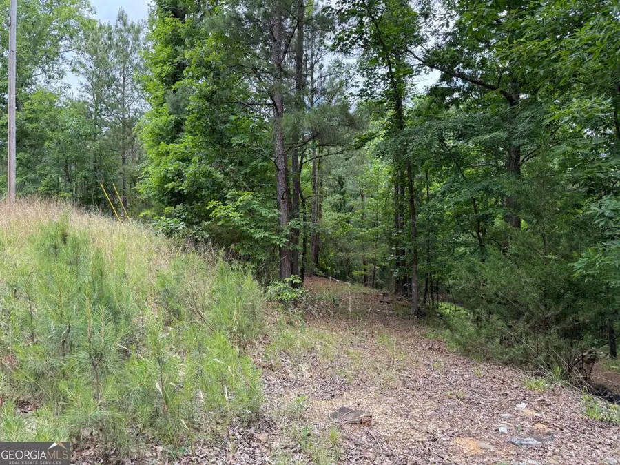 LOT 51 Bramlett Cr, Elberton, GA 30635 - #2