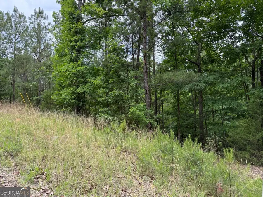 LOT 51 Bramlett Cr, Elberton, GA 30635 - #3