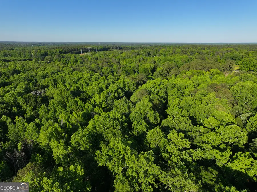 0 Standing Rock Road, Senoia, GA 30276 - #2