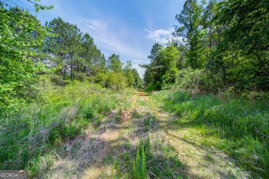 8580 Nicholson Road, Cumming, GA 30028 - #3