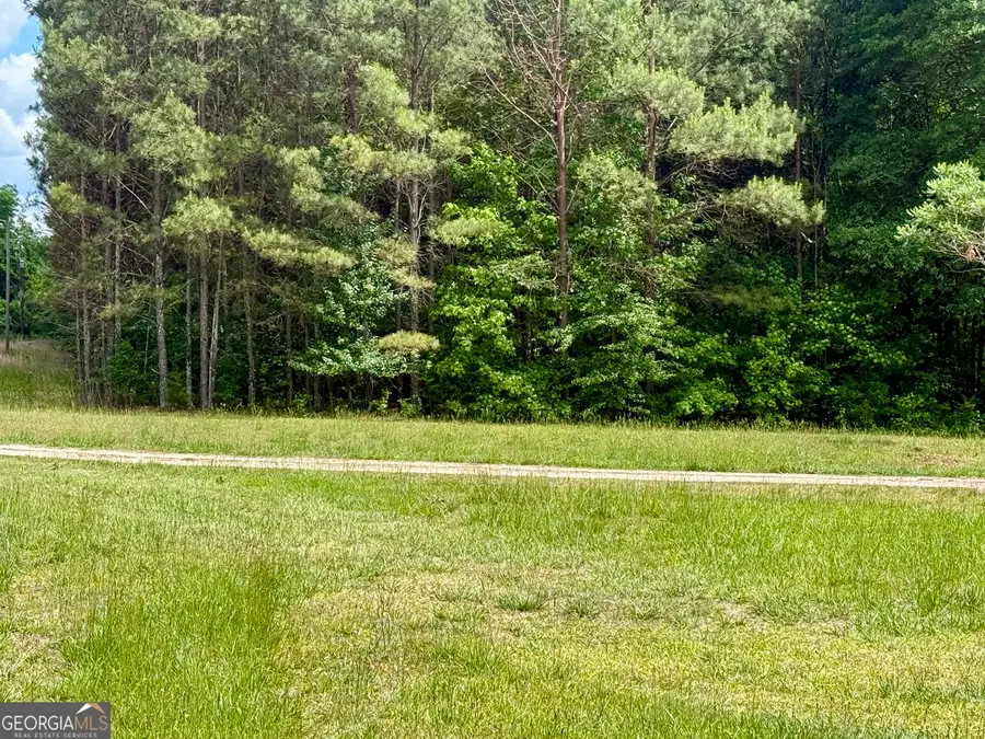460 Highway 3 N, Hampton, GA 30228 - #3