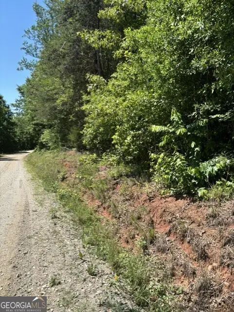 7.66 ACS Keener Road, Toccoa, GA 30577 - #1