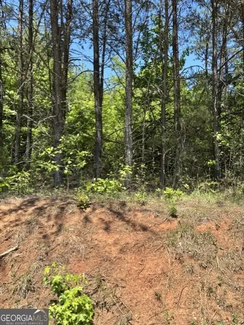 7.66 ACS Keener Road, Toccoa, GA 30577 - #2
