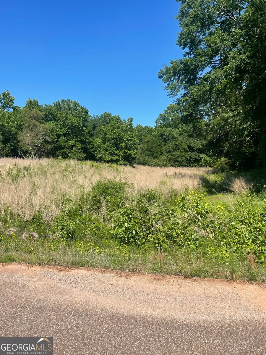 LOT 13 D Nails Creek Xing, Royston, GA 30662 - #3