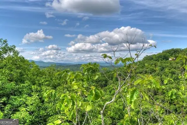 28.4 AC Black Dog Trail, Blue Ridge, GA 30513 - #3