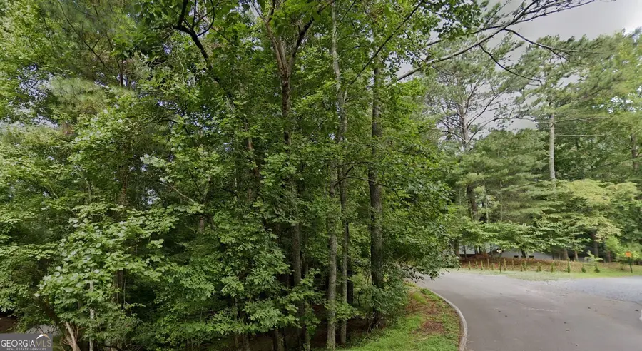 0 Mango Lane #LOT 704, Ellijay, GA 30540 - #3