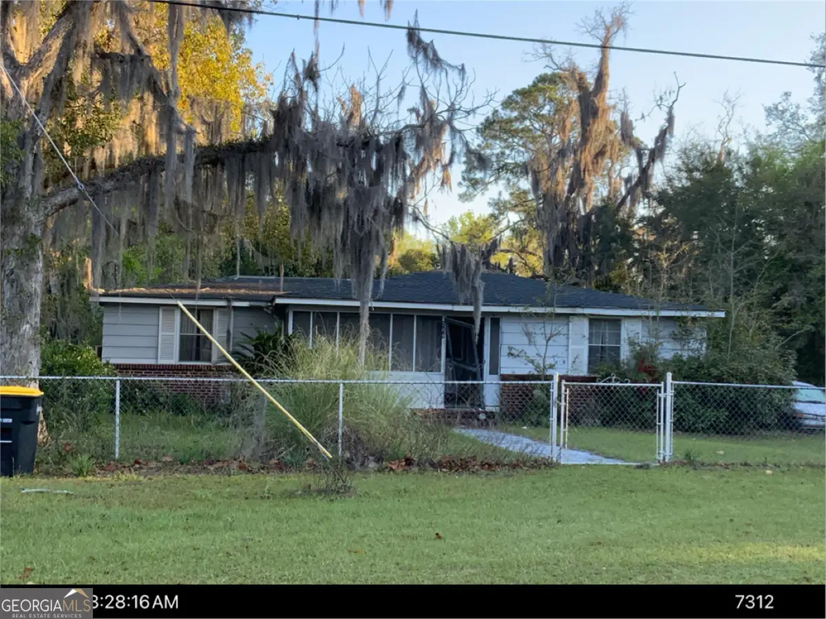 204 Trumbull Street, Darien, GA 31305 - #1