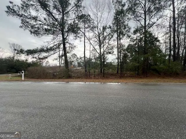 0 N Washington Street, Lyons, GA 30436 - #1