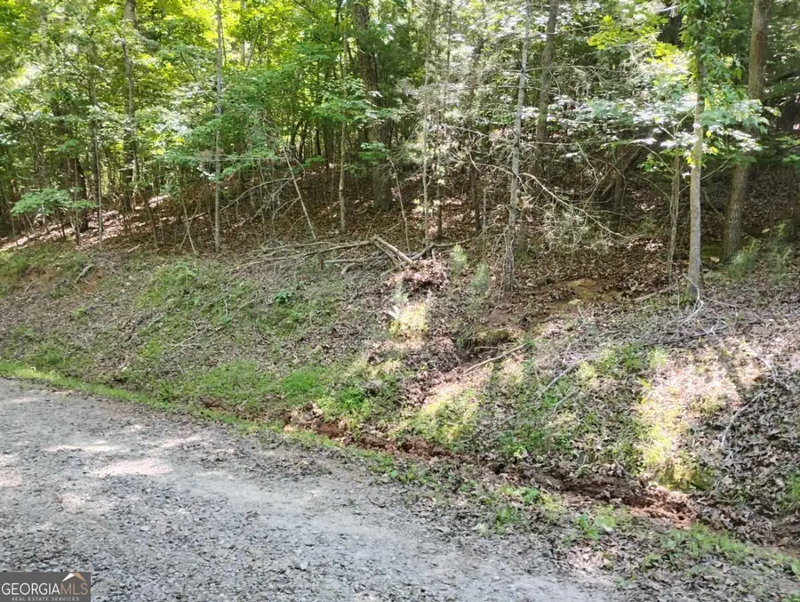 0 Gladstone Court #967, 968, Ellijay, GA 30540 - #3