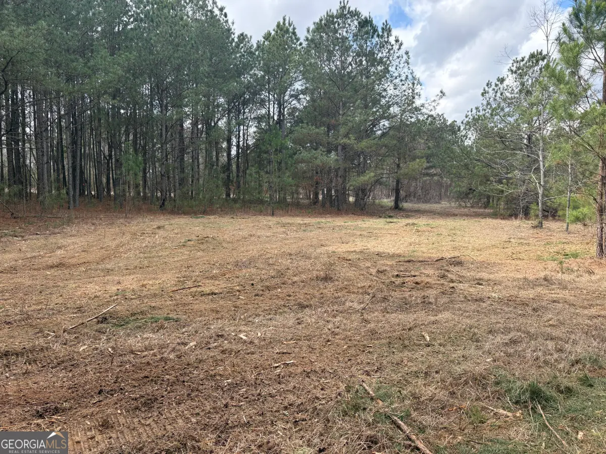 L2&3 Keysville-boggs Academy Road, Keysville, GA 30816 - #1