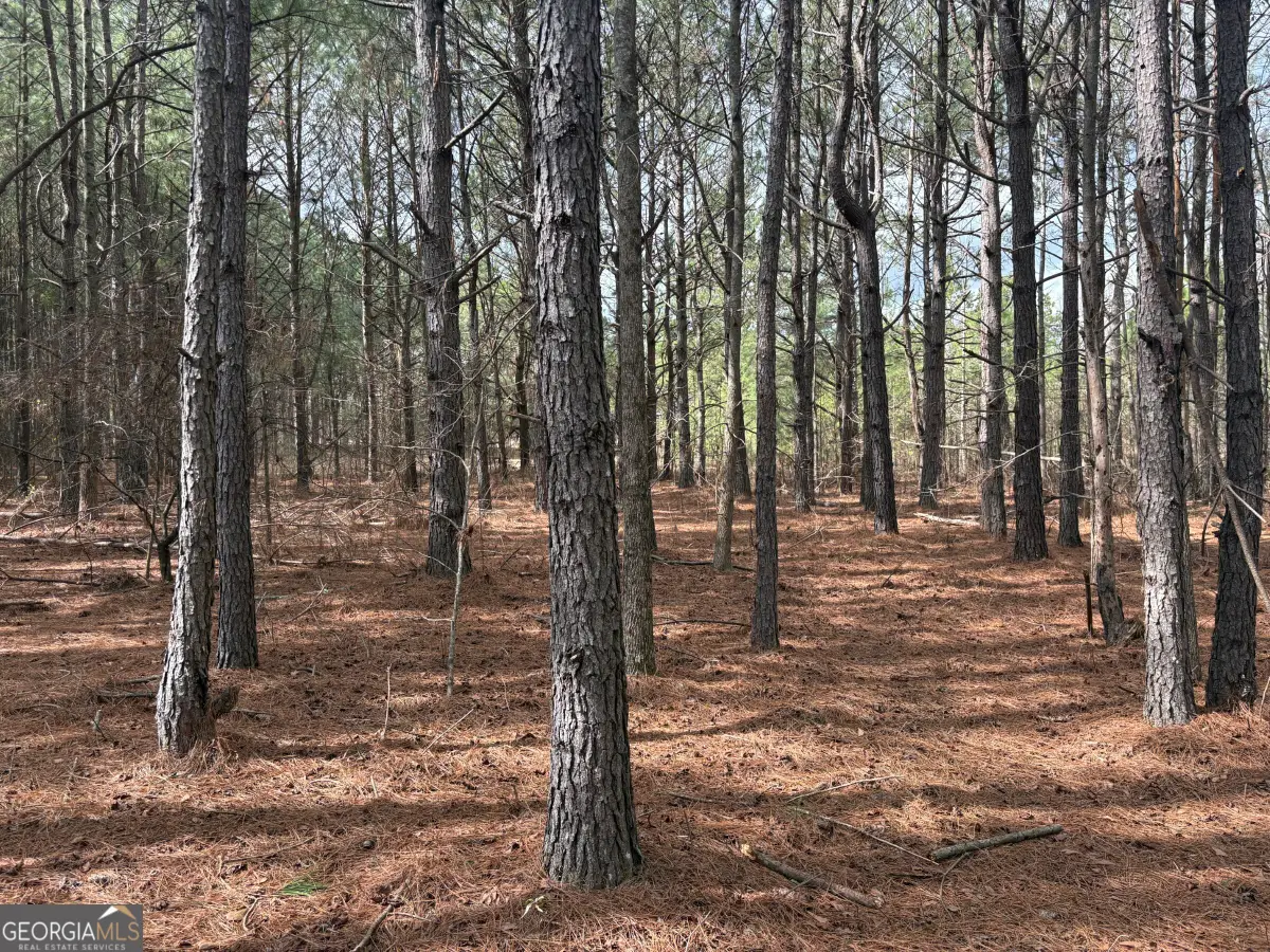 L2 Keysville-boggs Academy Road, Keysville, GA 30816 - #1