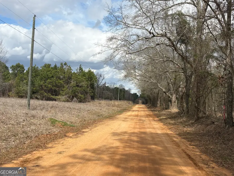 L2 Keysville-boggs Academy Road, Keysville, GA 30816 - #3
