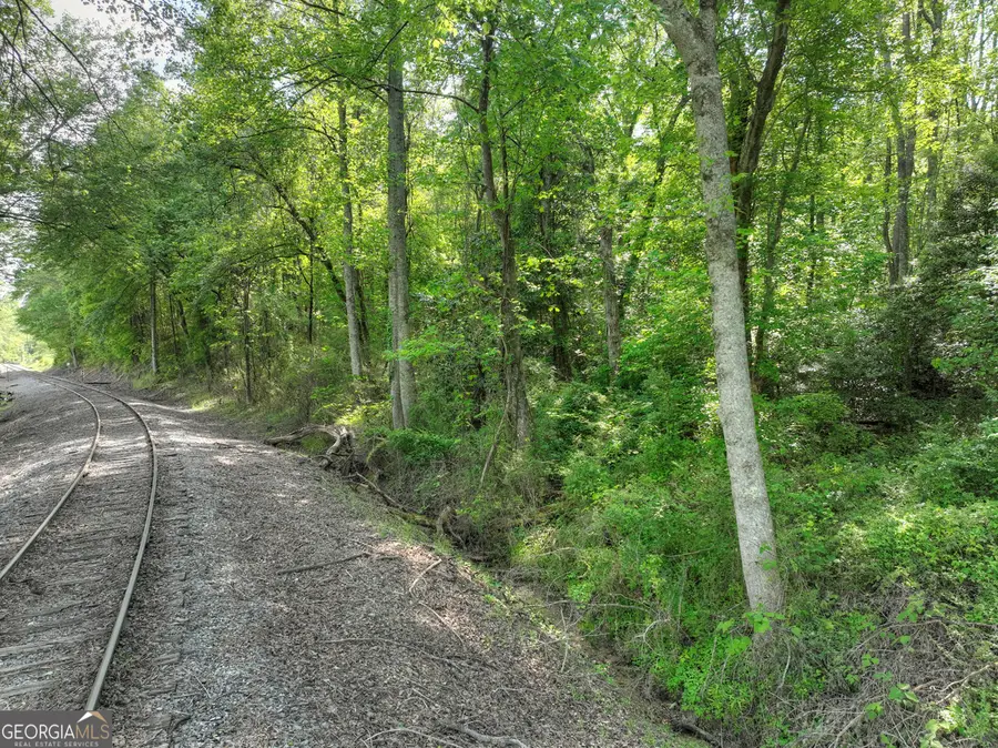 6.74 Doxol Street, Blue Ridge, GA 30513 - #3