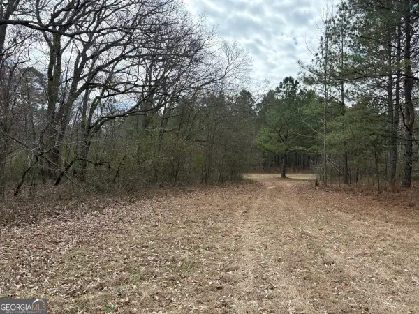 L8 Quaker Road, Keysville, GA 30816