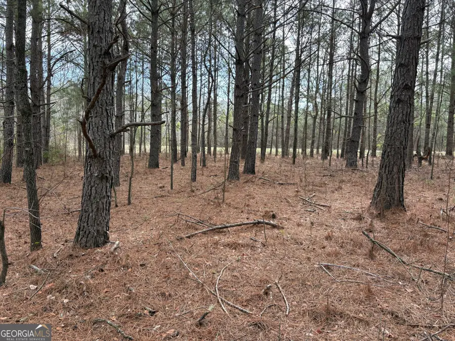 L8 Quaker Road, Keysville, GA 30816 - #2