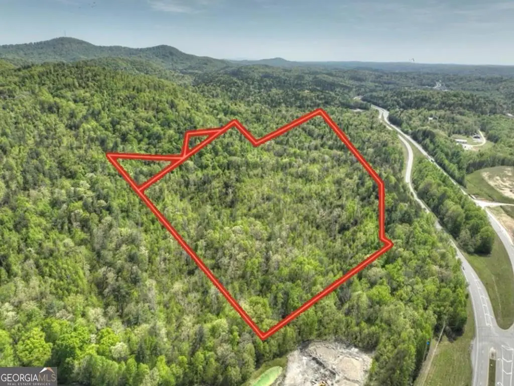 138.06AC N Highway 515, Ellijay, GA 30540 - #1