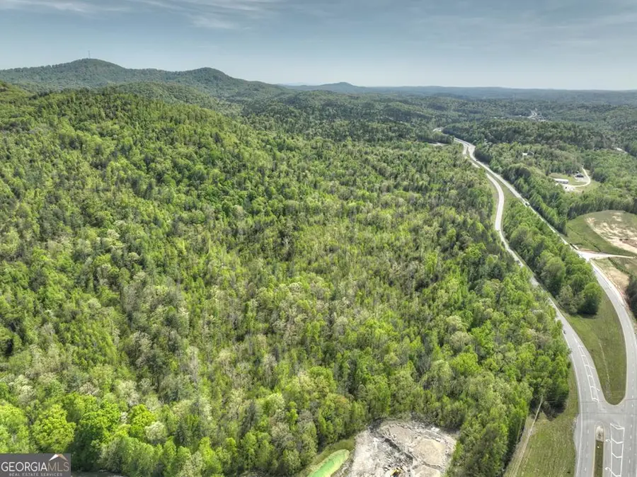 138.06AC N Highway 515, Ellijay, GA 30540 - #2