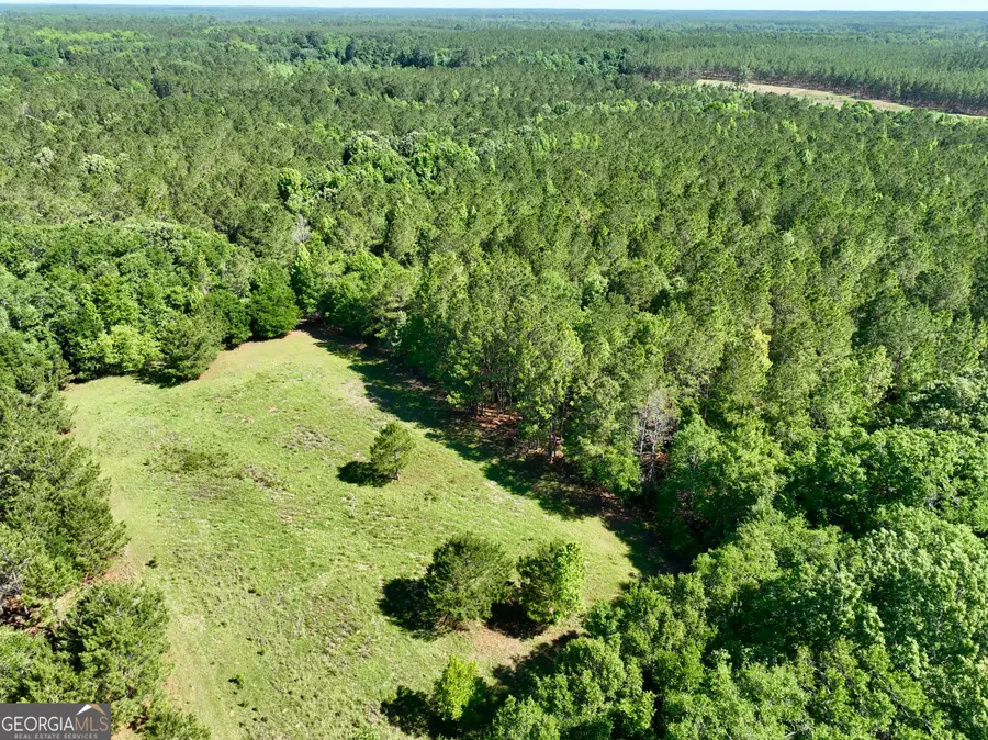769 Mount Olive Church Road, Eastman, GA 31023 - #3