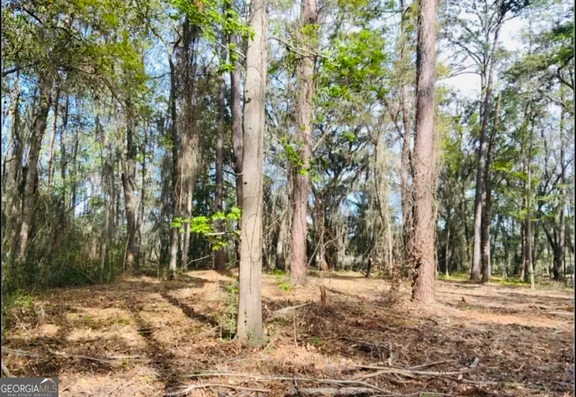 0000 W Black Island Road Se, Darien, GA 31305 - #1