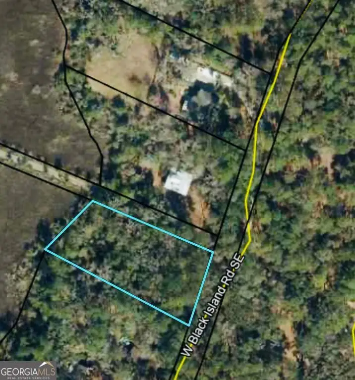 0000 W Black Island Road Se, Darien, GA 31305 - #2