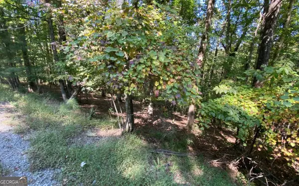 266 Myna Drive, Ellijay, GA 30540